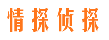 苍山市私家侦探